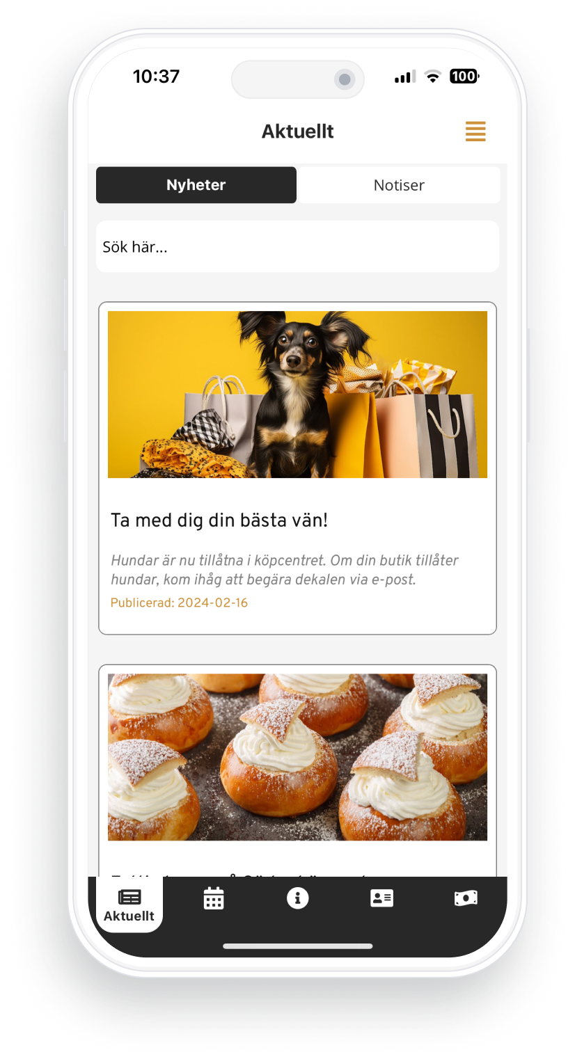 Shopping Mall Intern